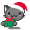 cat_gray_present