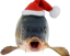 christmas_fish