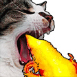 fire-breathing-cat