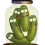 pickle_jar