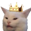 royal_cat