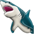 shark-rage